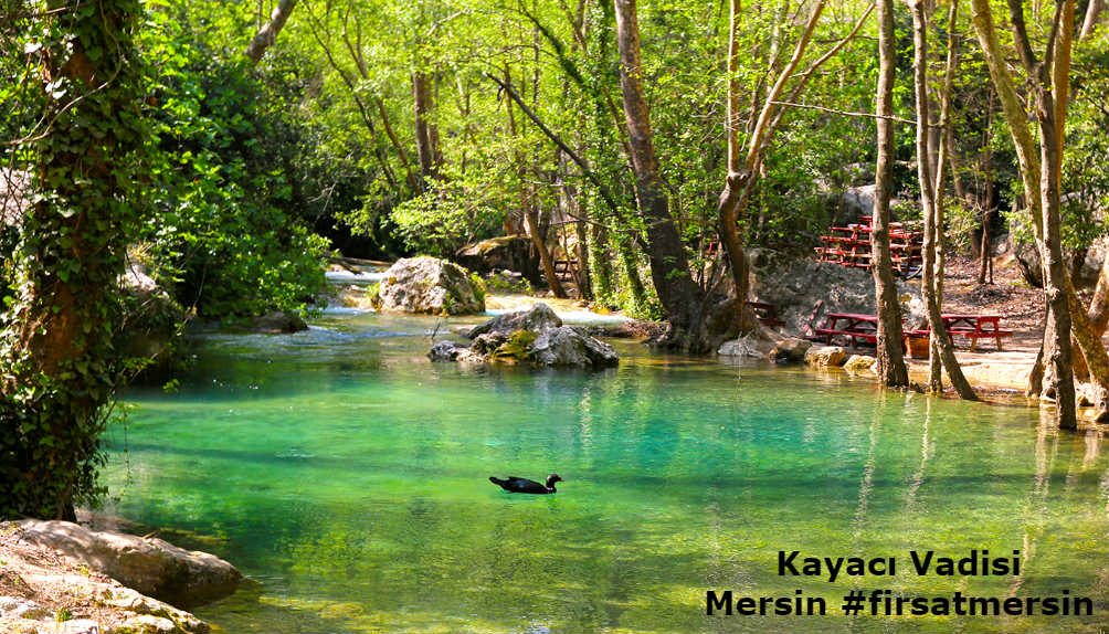 Lamos Mersin Kanyonu